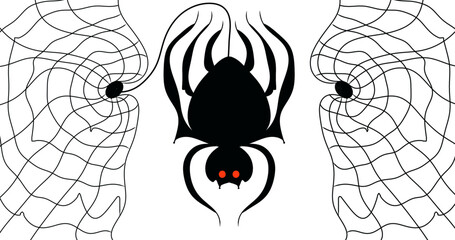 spider and web
