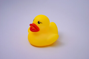 Rubber duck with duckling isolated on white studio lighting background. Children's swimming bath toys.