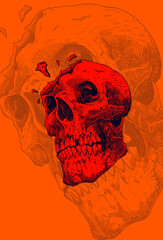 Cracked skull head artwork illustration