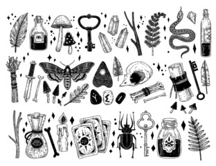 Collection of mystical objects drawn in engraving style. Vintage magic items, scoops, crystals, snake, moth and others. Elements for design. Tarot. - obrazy, fototapety, plakaty