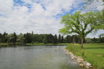 June On The Lake, William Hawrelak Park, Edmonton, Alberta