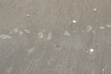 Summer beach sea sand texture background.