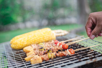 Vegetarian bbq and corncob on a grilling pan