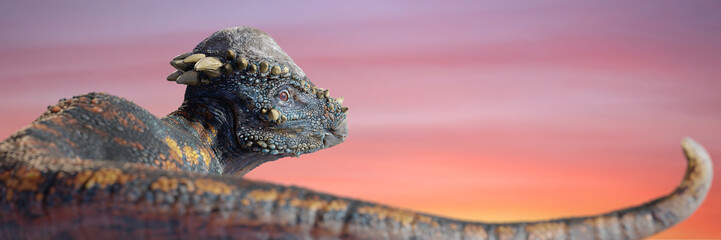 Pachycephalosaurus, dinosaur from the Late Cretaceous epoch, background banner