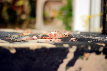 Abstract photo of exterior design outside the house.