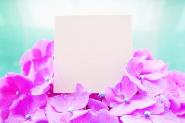 満開の赤紫のアジサイの花の上に置かれたタイトルカードのシンプルなモックアップ