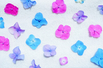 数種類のカラフルな紫陽花を並べた初夏の可愛いパターン背景素材