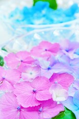 ピンクと青のあじさいの花と葉をクリスタルの器に水で浮かべた二つのフローティングフラワーのアップ