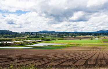 Fototapeta na wymiar Saanich Farm Panorama, British Columbia, Canada