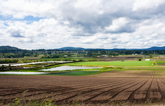 Saanich Farm Panorama, British Columbia, Canada