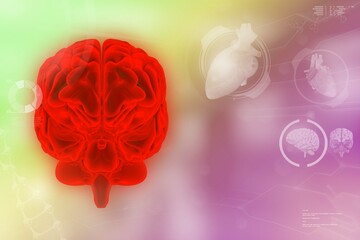 Medical 3D illustration - human brain, physiology work concept - very detailed hi-tech texture or background