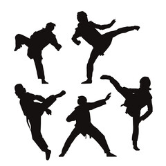 テコンドーシルエット