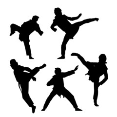 テコンドーシルエット