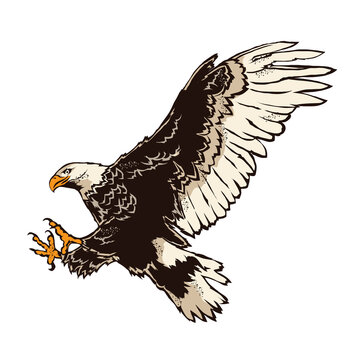 Bald Eagle flying vector illustration in retro style, perfect for tshirt design and brand logo