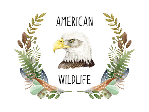 Bald eagle portrait in wreath. Watercolor illustration. American wildlife symbol bird portrait. Native North America avian. Hand drawn realistic bald eagle head with natural wreath element