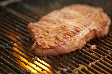 grilled meat on the grill	
