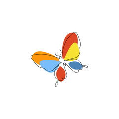 butterfly on a white background