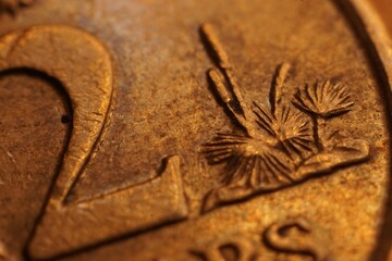 Closeup shot of golden Australian coin