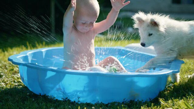 Little baby boy taking a bath at home having fun playing with his dog in the yard. Small dog takes a toy from the pool while the toddler bathes