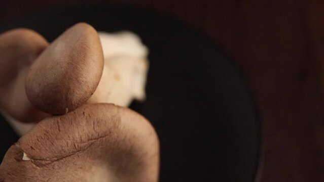 Mushroom eringi spinning on the table