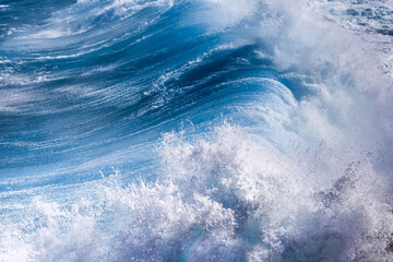 Dos de vague bleue