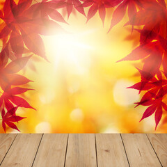 Naklejka na ściany i meble Beautiful autumn background with clear wooden board and maple leaves