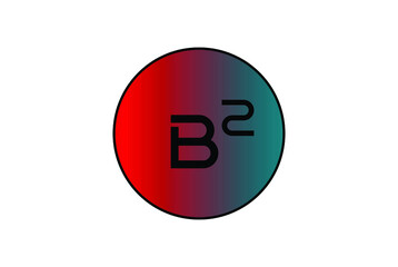 letter B2 logo vector design with circle