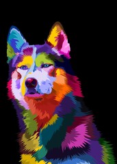 Obraz premium colorful husky dog on pop art style geometric. Polygonal Animals.