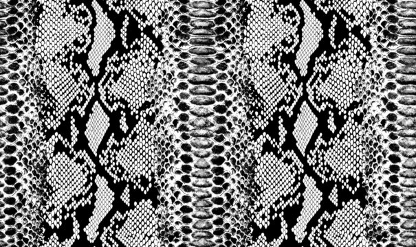 Snake skin pattern texture repeating seamless monochrome Texture snake. Fashionable print. Fashion and stylish background