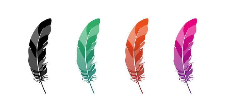 Lettering feather vector. Feather pen.
