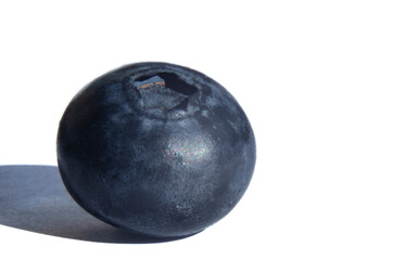 Grapevine tomatoes isolate on white background