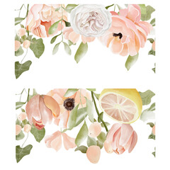 Watercolor seamless borders  with pink flowers, tulip, anemone, peony, roses, citrus