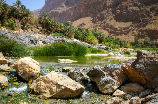 An oasis near the Nizwa Oman