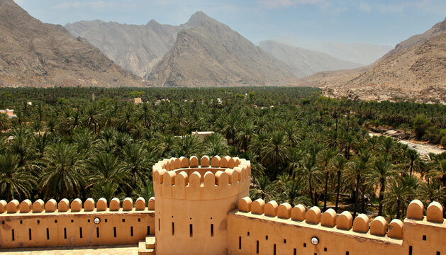 Aerial view of dates farm from the Nizwa fort