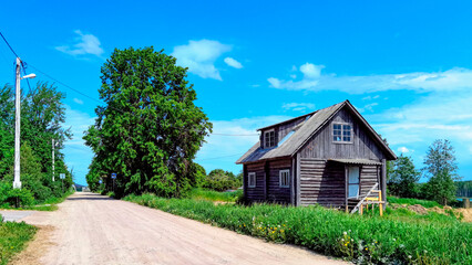 Summer rural landscape in the Leningrad region.