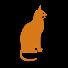 Orange cat on black