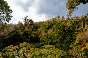 Kyoto pictures near the 