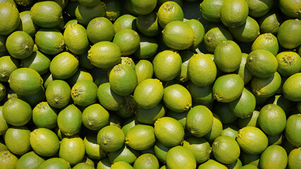 limes, juicy citrus fruits background, top view