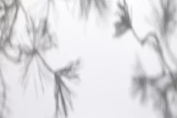 Fotobehang Blurred overlay effect for photo. Gray shadows of fir tree branches on a white wall. Abstract neutral nature concept background for design presentation. Shadows for natural light effects © Aleksandra Konoplya