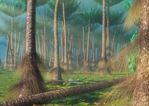 Wattieza: one of the earliest known trees