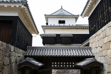 Fototapeta na wymiar 日本のお城