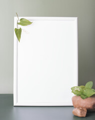 White frame with copy space and natural eco decor, stone and green plants. Organic and minimal design concept. vertical size, summer advertisment and sale.