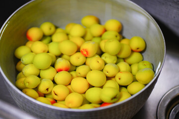梅を水に浸ける様子