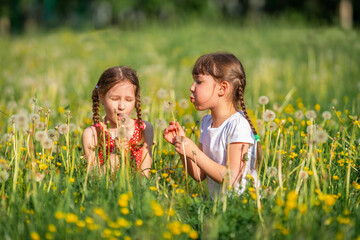 Cute little girls blowing dandelions in a sunny flower meadow. Summer seasonal outdoor activities...