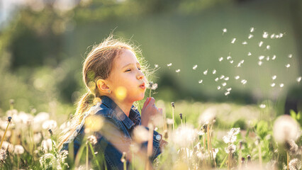 cute little girl blowing dandelions in a sunny flower meadow . Summer seasonal outdoor activities...