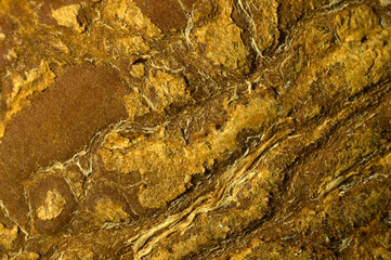 Extreme closeup of coconut shell revealing its texture, India.