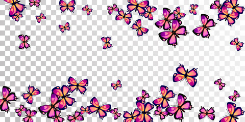 Romantic purple butterflies cartoon vector wallpaper. Summer cute moths. Detailed butterflies cartoon fantasy illustration. Delicate wings insects patten. Tropical beings.