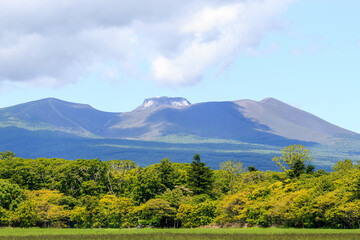 Fototapeta premium 北海道苫小牧市、新緑に覆われた初夏の樽前山【6月】
