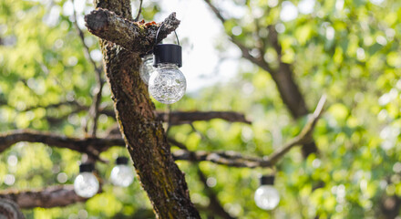 Solar energy light bulbs handing on tree in garden, renewable efficient energy.