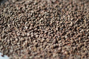 Closeup shot of chickpea, chickpea background